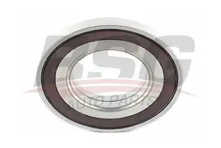 BSG 15605028 Porya Rulmanı Ön/Arka