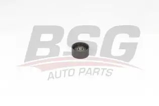 BSG 75615006 V Kayış Gergi Rulmanı