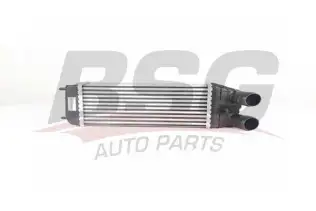BSG 70535006 Turbo Radyatörü