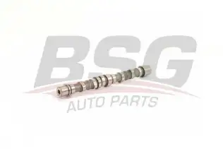 BSG 25108001 Eksantrik Mili
