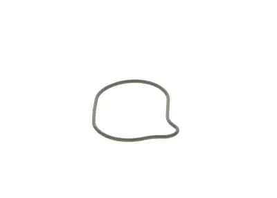 BOSCH 2440210028 O-Ring - 11. Görsel