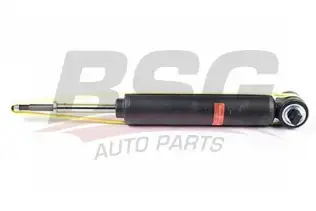 BSG 60300022 Amortisör Arka