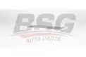BSG 75145009 Polen Filtresi