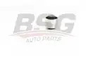 BSG 90700209 Dingil Burcu Arka