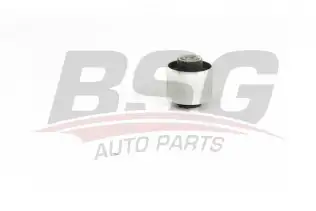 BSG 90700209 Dingil Burcu Arka