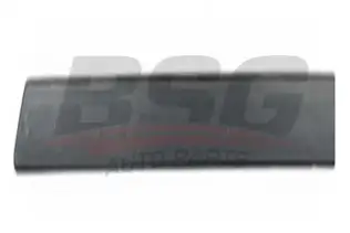 BSG 65925005 Kapı Bandı Arka Sol