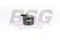 BSG 60130020 Yakıt Filtresi