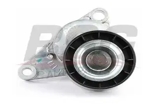 BSG 70615020 V Kayış Gergi Rulmanı