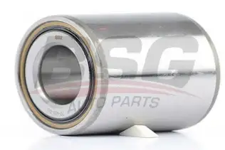 BSG 70600011 Porya Rulmanı Arka