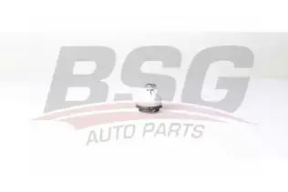 BSG 70310072 Rotil Alt