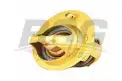 BSG 30125020 Termostat