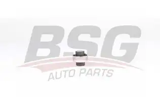 BSG 90700203 Salıncak Kol Burcu Arka