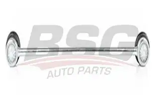 BSG 70310037 Viraj Askı Rotu Ön