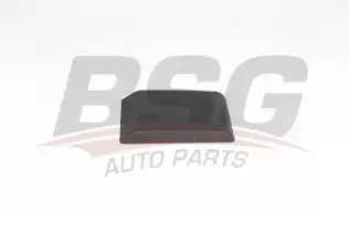BSG 75971001 Samandıra Kapağı