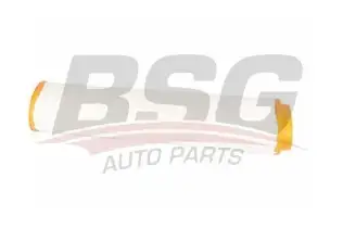 BSG 15135006 Hava Filtresi