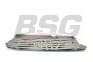 BSG 65935001 Bagaj Havuzu