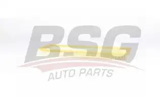 BSG 70135013 Hava Filtresi