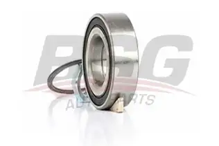 BSG 70605002 Porya Rulmanı Ön