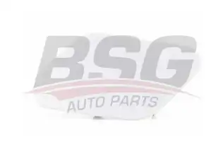 BSG 65922080 Far Yıkama Kapağı Sol