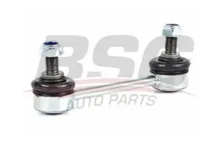 BSG 30310098 Viraj Askı Rotu Arka