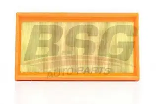 BSG 90135005 Hava Filtresi