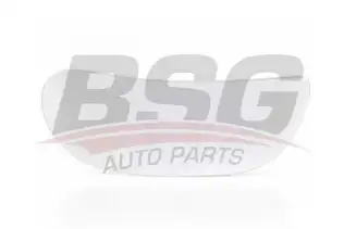 BSG 30910008 Ayna Camı Sol