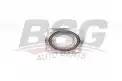 BSG 15605033 Porya  Arka