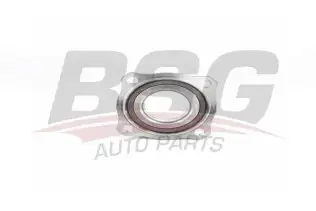 BSG 15605033 Porya  Arka