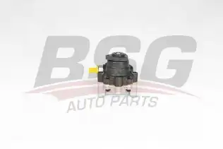 BSG 15355025 Direksiyon Pompası