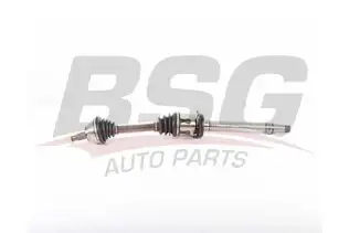 BSG 60350004 Aks Komple Ön Sağ