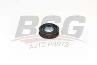 BSG 90615008 V Kayış Gergi Rulmanı