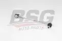 BSG 75310077 Viraj Askı Rotu Ön