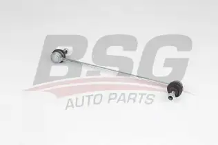 BSG 75310077 Viraj Askı Rotu Ön