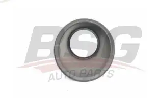 BSG 70921002 Sis Far Çerçevesi Sağ
