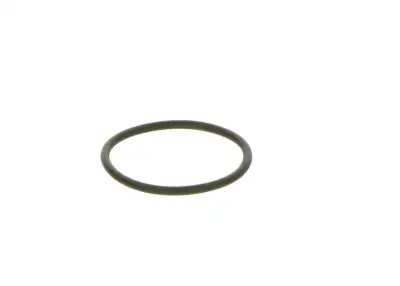BOSCH F00R0P0166 O-Ring - 24. Görsel