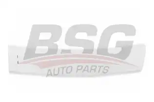 BSG 65925027 Kapı Bandı Arka Sol