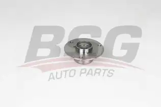 BSG 60600017 Porya Ön