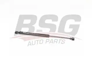 BSG 15980040 Motor Kaput Amortisörü