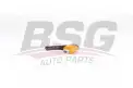 BSG 75310016 Rot Başı Sağ