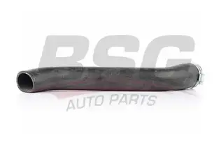 BSG 90720012 Turbo Hortumu