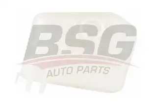 BSG 30550020 Radyatör Yedek Su Deposu