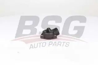 BSG 60125017 Termostat Kapağı