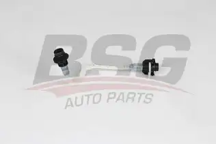 BSG 60725005 Yakıt Hortumu