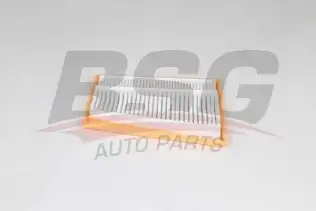BSG 60135021 Hava Filtresi