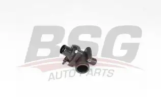BSG 30126011 Termostat Yuvası