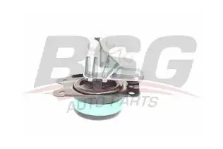 BSG 65700261 Şanzıman Takozu