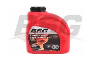 BSG 99994005 Antifiriz