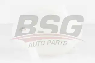BSG 90550009 Radyatör Yedek Su Deposu