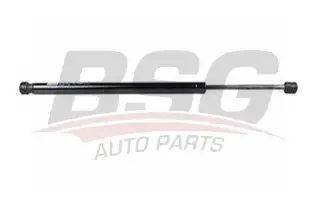 BSG 30980011 Bagaj Amortisörü