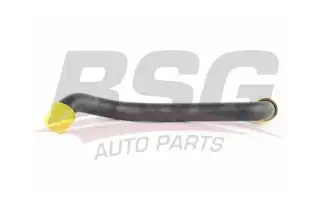 BSG 60720221 Radyatör Hortumu Üst